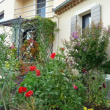 Chambres D'hotes L'olea De Romane Rousset-les-Vignes